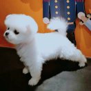 晓时候设计