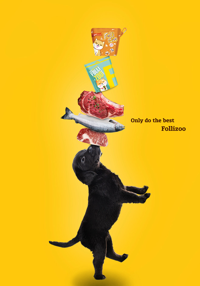 宠物狗零食海报