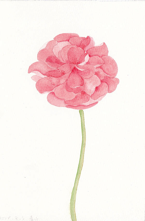 花朵水彩手绘花卉插画