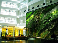 静默星采集到真植物墙  绿植 室内植物 立体绿化墙 垂直绿化墙  绿植墙