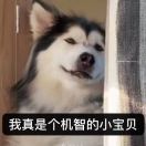 曾胖达