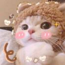 Joyceln