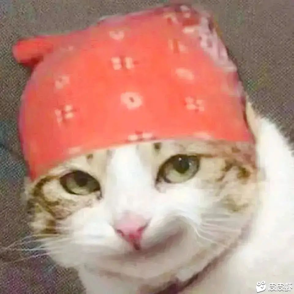 不正经呀