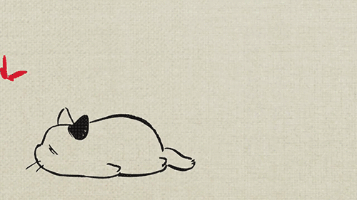 猫咪动图来自吉卜力工作室ghibli转viap站画师6767676767