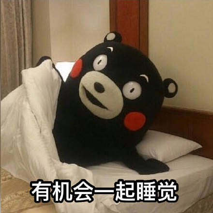 熊本熊表情包熊本熊表情包表情排行榜