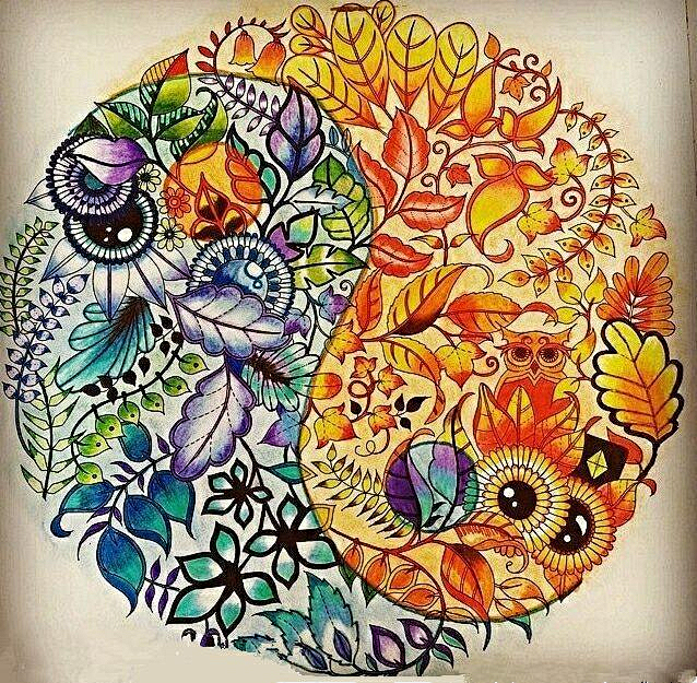 秘密花园成品图