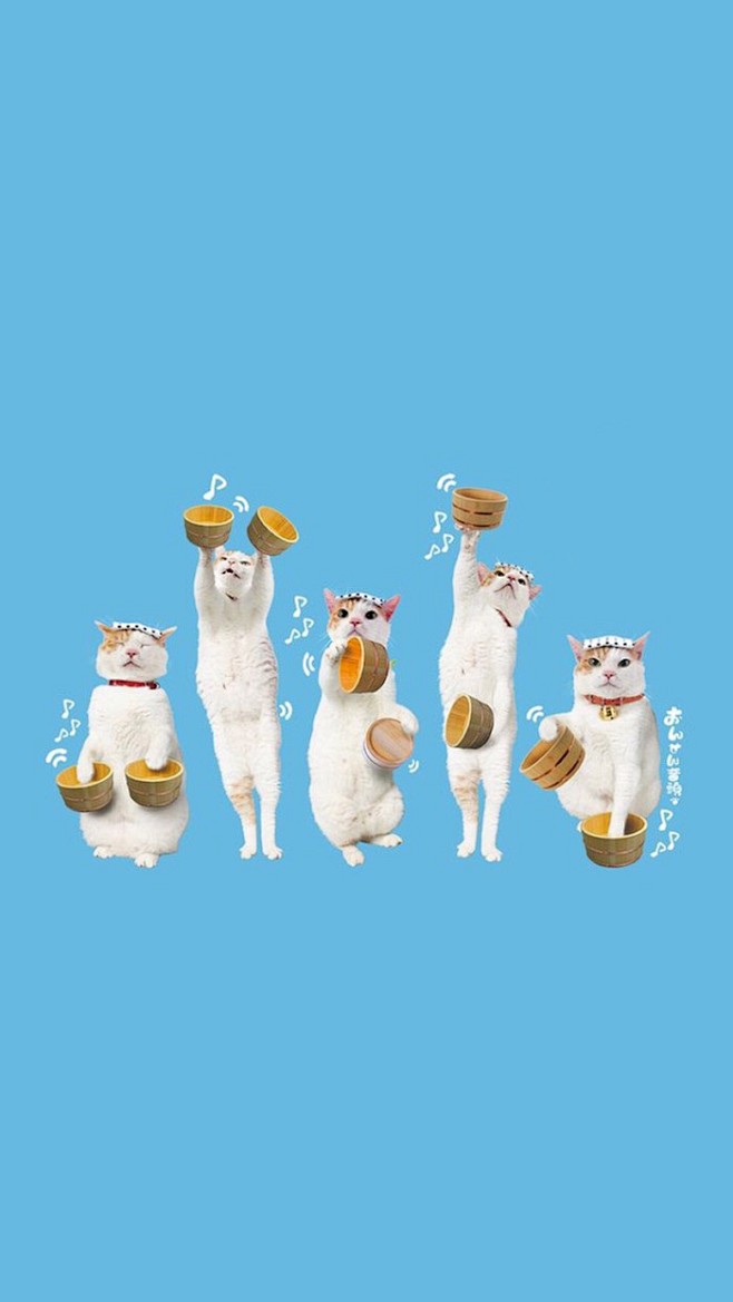 有趣猫壁纸锁屏