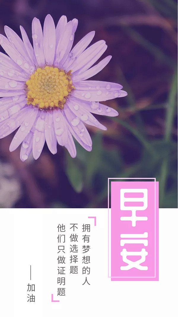 粉色樱花文艺清新早安每日一签