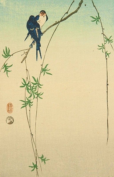 【小原古邨(日本)绘画作品】