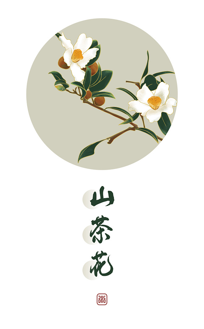 s_南星从小衍衍_yan转采于2021-08-14 11:13:12山茶花设计素材s_南星