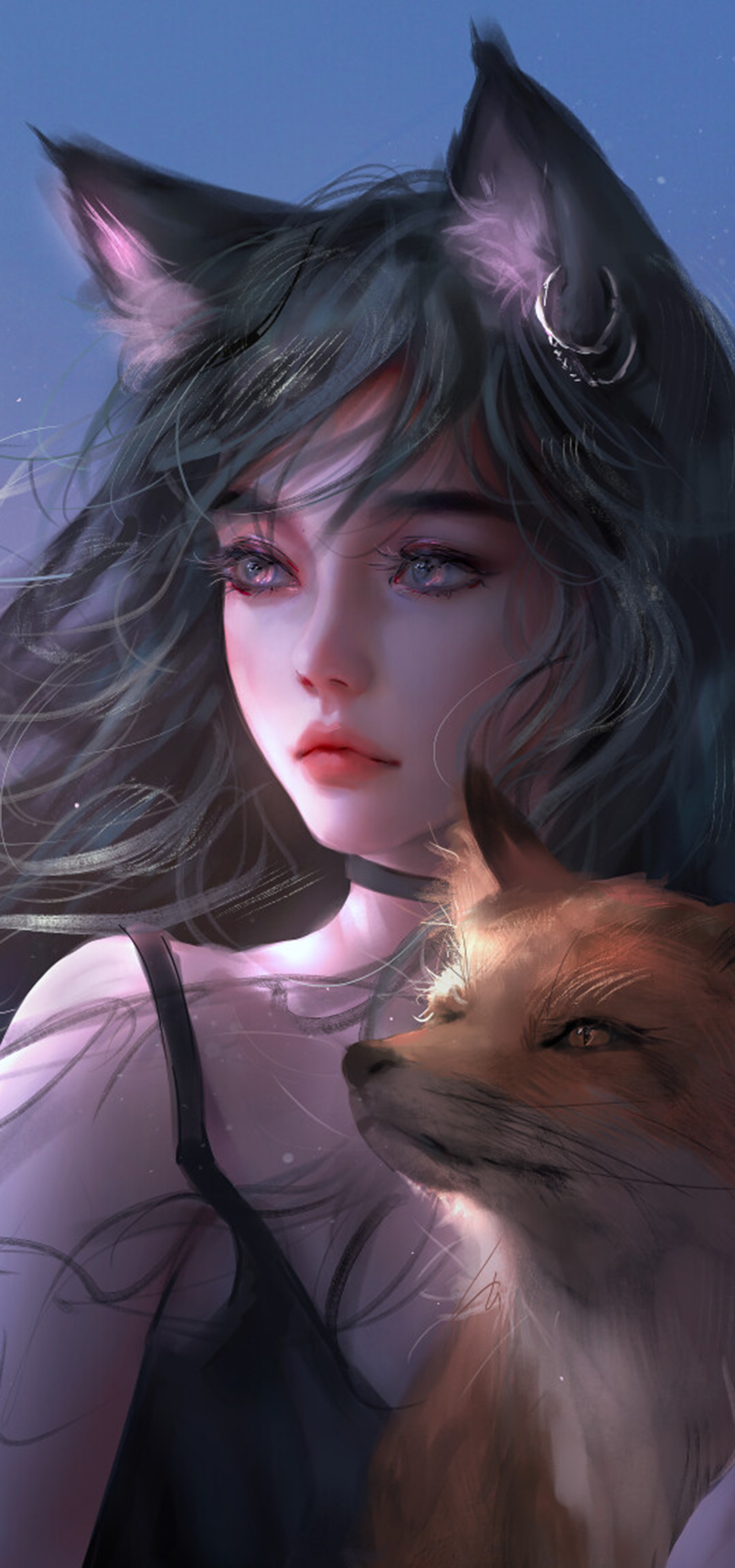 冰月弧