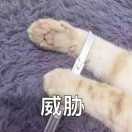 用户eToiqltS