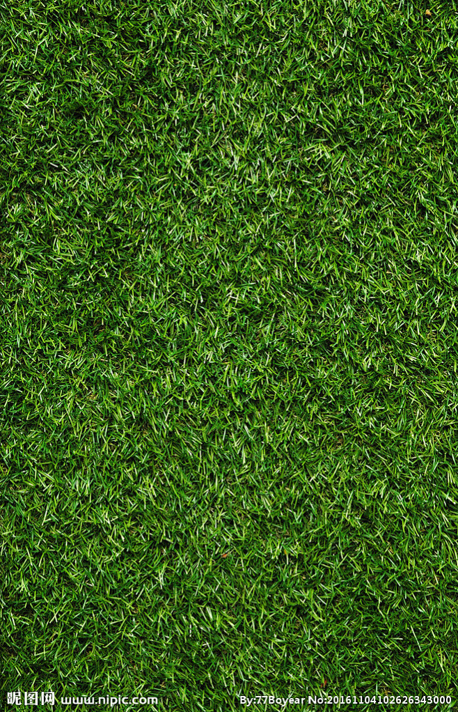 绿植墙绿植背景