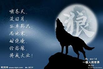孤独求败原野上狼虎争斗胜者王啸傲江湖不自已月上柳梢情悠长