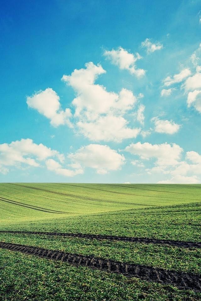 绿色iphone4风景高清壁纸