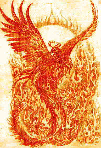 朱雀为中国传统文化中是四象之一,上古四大神兽之一.