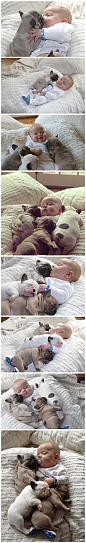 #花瓣摄影#这位来自美国的小宝宝Austin与它的宠物伙伴们睡在一起，他的婶婶Cindy Clark决定拍摄这有爱的一幕！憨态可掬的模样，是不是瞬间就被治愈了？