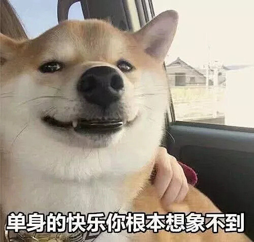 lljteg37从遛人的阿拉斯加转采于2020-01-20 13:37:15热门斗图表情包