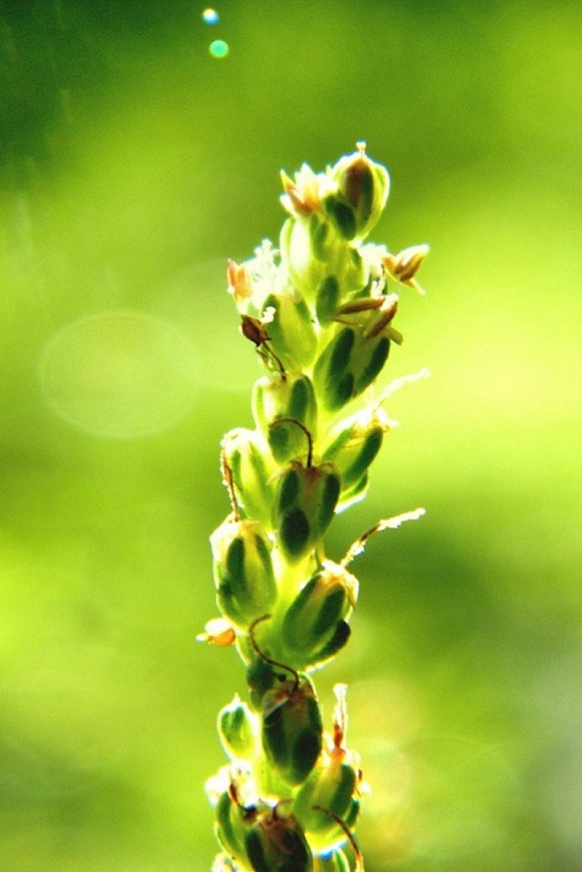 一草一木一清新