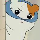 焦月二十六
