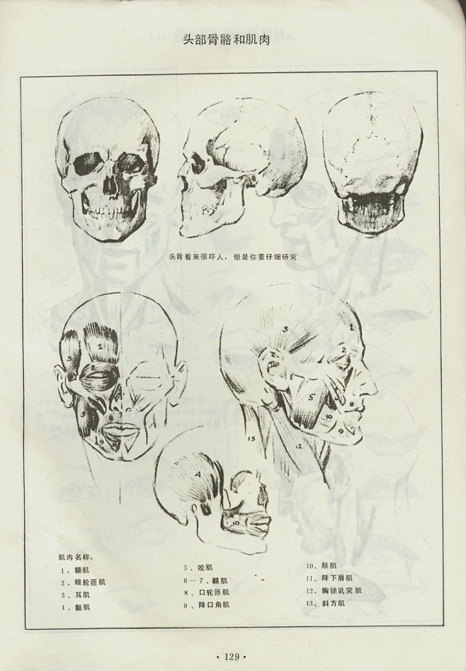 安德鲁路米斯andrewloomis人体素描106142页共142页水木白艺术坊贵阳
