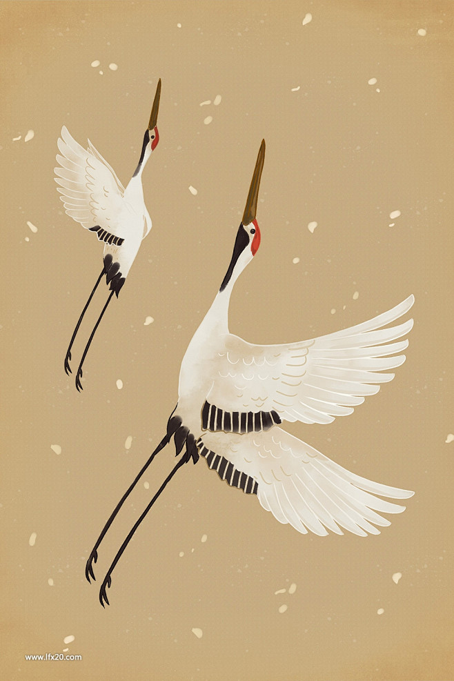 中式水墨白鹤仙鹤荷花中式花纹底纹吉祥纹理海报