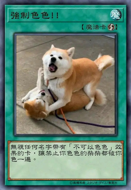 表情包色色柴犬