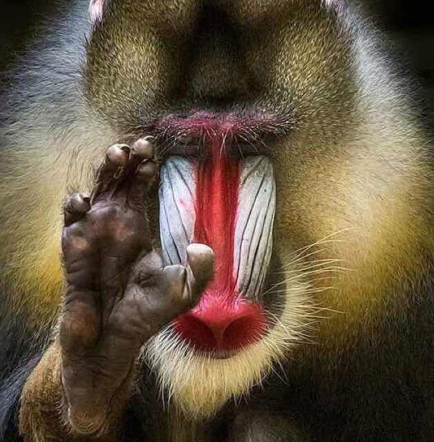 孝乐