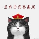 妮妮coco虎豆