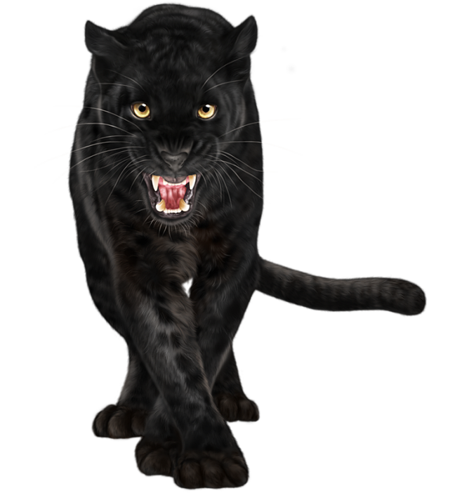 20:03:52黑豹s 素材-动物isabellashuxian该采集也在以下画板加载更多