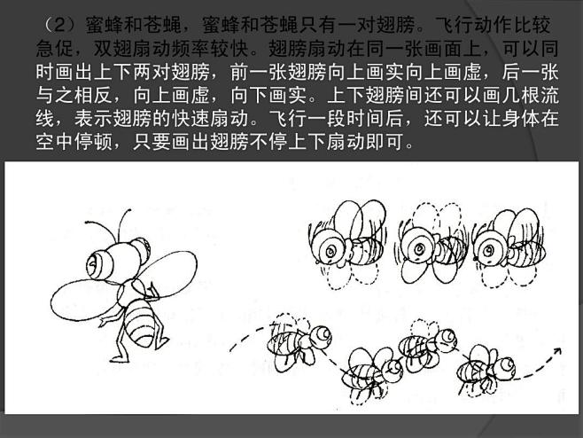 动画运动规律动物