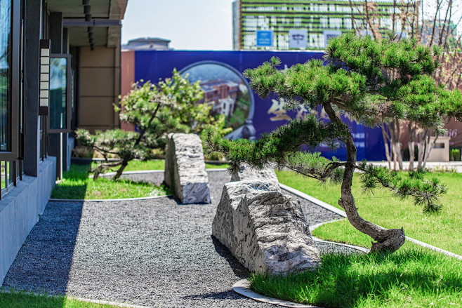 设计城市概念规划市政基础园林展示区砾石景观中式砾石景观造型松种
