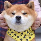 黄先生66666