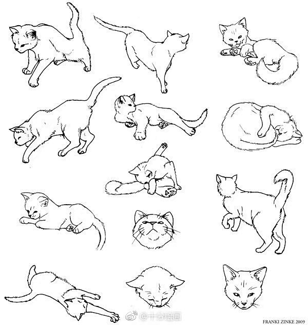 猫和狗区别画法从五官到姿势的详细教程