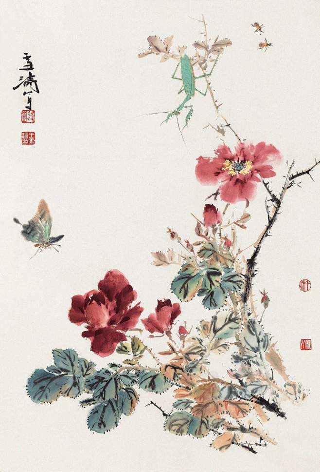 王雪涛花鸟欣赏
