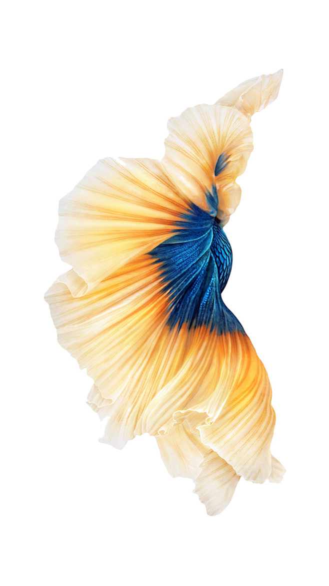 ios9系列壁纸5kun