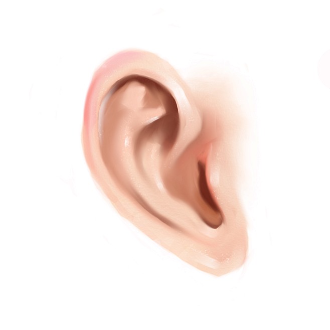 菜飞天采集于2020-04-10 17:07:15耳朵1喜欢手绘插画临摹写生菜飞天该