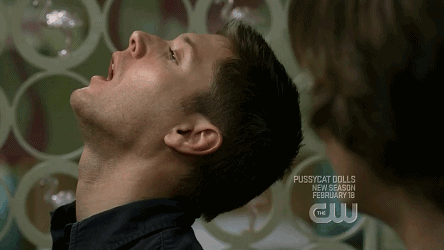 comalon-2通过花瓣chrome扩展采集于2016-05-01 14:12:39spn 邪恶力量