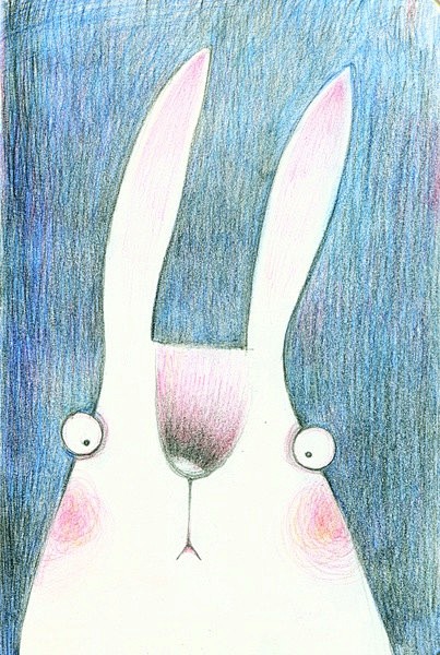 极简动物园萌萌哒动物彩铅画by豆瓣白关