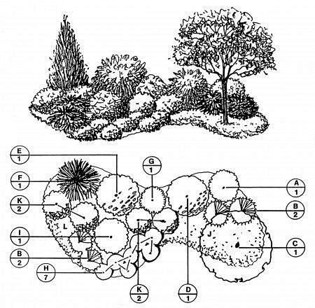 植物群落手绘平面图图片