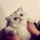 如～