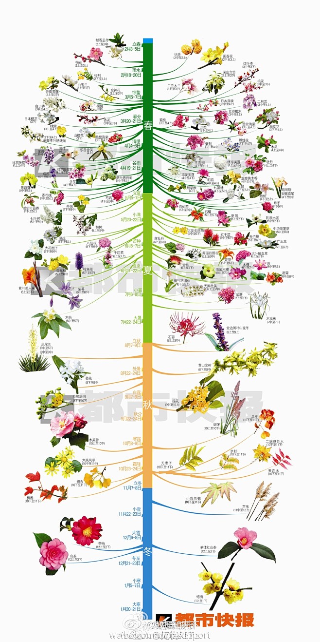 一图四季植物图片