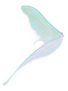 精灵盛典翅膀图片