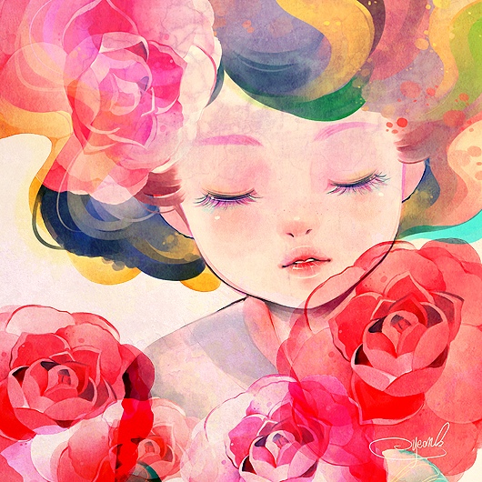 菲和朵