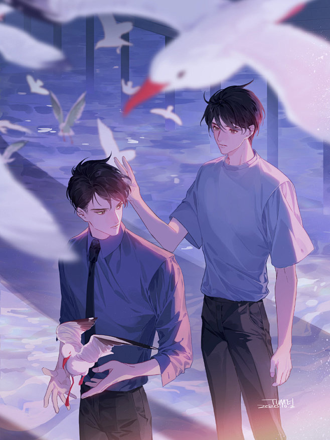 飞鸥不下广播剧m站闪屏画师小狐兔美盛珉鸥陆枫