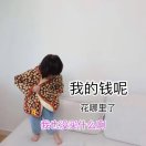 种一只太阳🌞
