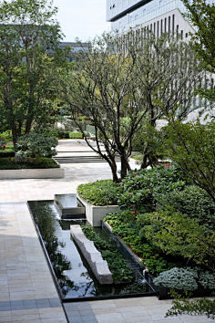 景物——公建-花瓣网|陪你做生活的设计师 | 诺华公司总部办公景观