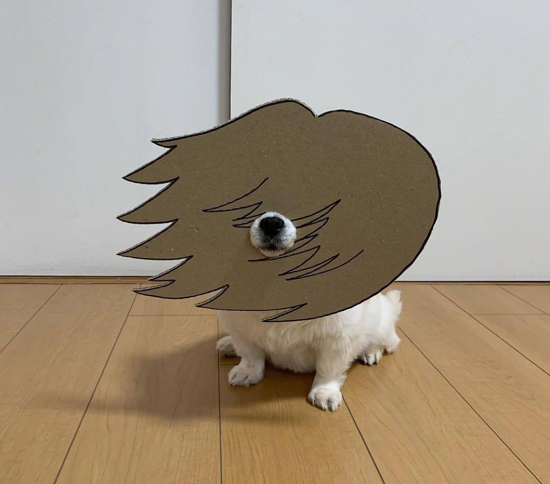 头痛也有人叫了