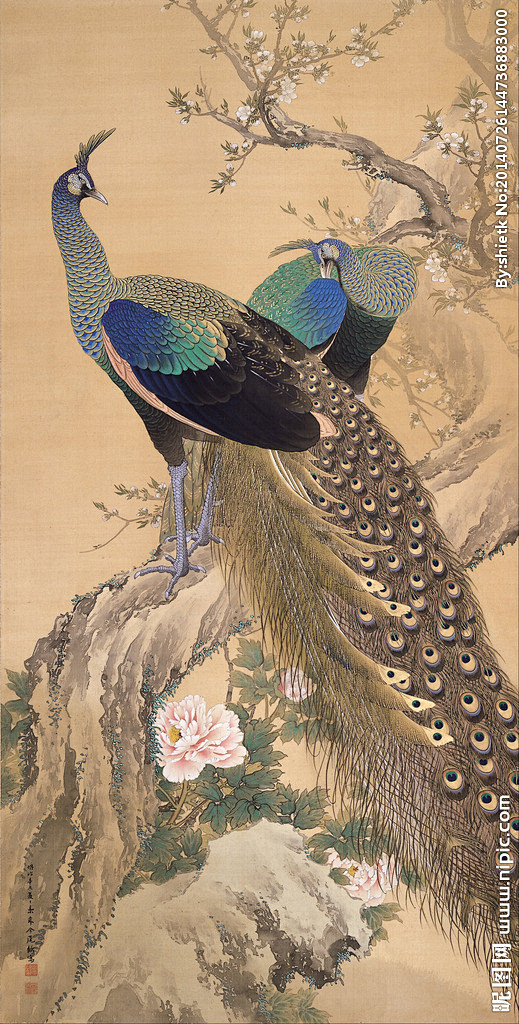 负负正从柚子913转采于2020-12-23 11:39:37孔雀古风背景负负正同采自