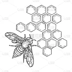 蜜蜂,草图,雕刻图像,昆虫,蜂窝,蜂蜜,木版画,大黄蜂,动物,复古